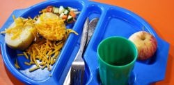 Lentils to be Compulsory in School Meal Shake-up