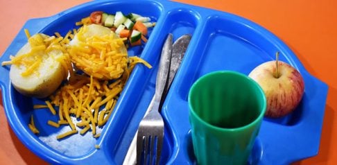 Lentils to be Compulsory in School Meal Shake-up f