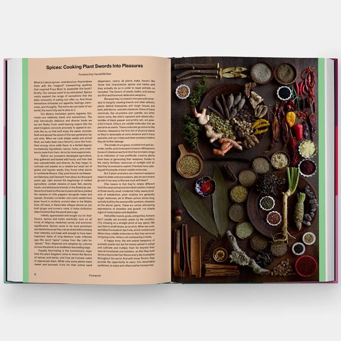 Priya Mani on the Stories Behind 50 Spices in Spiced 3